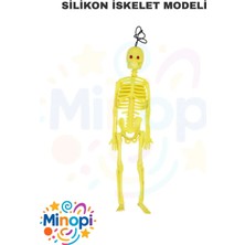 Minopi Plastik Iskelet Modeli 20 cm 1 Adet Plastik Insan Isket Modeli Silikon Iskelet Deneyi Araba Süsü