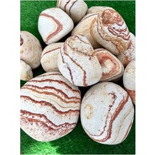Pearl Shop Sarı Renk Dolomit Taş 5 kg 6-10 cm Sarı Çizgili Bahçe Taşı Dekoratif Taş Peyzaj Taşı Saksı Dibi Taşı