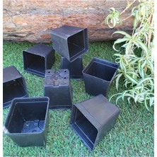 Pearl Shop Saksı 0,23 Lt 7x7,5 cm 60 Adet Üretim Saksısı Siyah Saksı Kare Üretim Saksı Plastik Saksı
