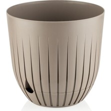 Pearl Shop Çizgi Saksı Kahve