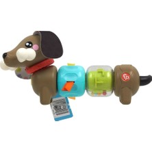 NW NessiWorld HTW91  Köpekçikle Eğlenceli Aktiviteler