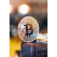EkoAlışverişDünyam Bitcoin Madeni Hatıra Parası Hediyelik Para