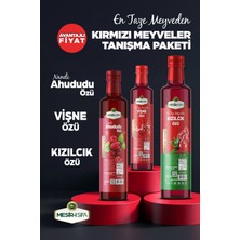 Kırmızı Meyveler Tanışma Paketi Naneli Ahududu Özü - Vişne Özü - Kızılcık Özü 350GR