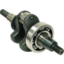 Palmera HP18606006V Krank Vidalı - Palmera PA-HP80DIE, 186