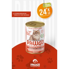 Pawgo Avantaj Serisi | Somonlu | Yetişkin | Parça Etli | Kedi Yaş Mama | 400G x 24