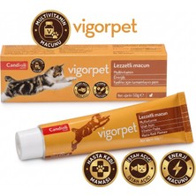 Candioli Vigor Pet Cat Pasta 50 gr (Kediler Için Iştah Açıcı, Enerji ve Bağışıklık Destekleyici Vitamin Macunu)