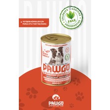Pawgo Avantaj Serisi | Somonlu | Yetişkin | Parça Etli | Köpek Yaş Mama | 400G
