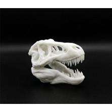 Yemcipetshop Dinozor Kafatası Akvaryum Süsü Küçük