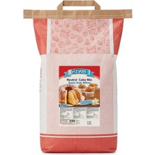 Vizyon Kek Miksi Sade  (10 Kg.)