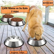 Duffa 2 Adet Paslanmaz Çelik Mama ve Su Kabı, Alt Taban 22 cm (500 Ml-16 Oz)