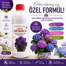 Ortanca Sıvı Bitki Besini