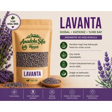 Anadolu Şifa Harput Lavanta (Lavender) 100GR Doğal Kurutulmuş Ürün