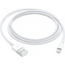 Delixa Lightning - USB Kablosu (1 M) ​​​​​​​