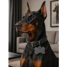 Peachtech Pet Guard Ios Bul Uyumlu Takip Cihazı – Köpek & Kedi Gps Tracker - 1 Peachtec Peachtech Pet Guard Ios Bul Uyumlu Takip Cihazı – Köpek & Kedi Gps Tracker