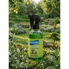 By Herba Düşler Bahçesi Oda Parfümü 500 ml