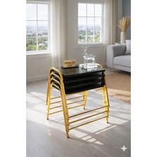 Eryalux Home 4'lü Tepsi Model Gold-Siyah Mermer Modern Zigon Sehpa