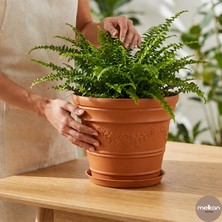 Melkan Home Antik Papatya Desenli Saksı 3 Litre Kahverengi Küçük Boy Modern Saksı