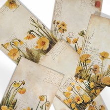 Henno A6 (10,5X14,8 Cm) 6’lı Vintage Sarı Nergis Çiçekli Scrapbook, Journal ve Mektup Kağıdı Seti