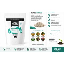 Diasil Powder %20 Silisyum