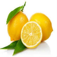 Kaia Life Limon Bonesi / 50 Adet /  Çayı Bonesi