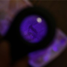 Kaia Life Para Kontrol Işıklı Büyüteçli Fener