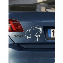 Bey Tuning 3D Sticker Asil Köpek Sticker Etiket Çıkartma Pc Laptop Araba Oto Motor 12X10 cm Beyaz