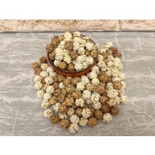 Kaymaklı Leblebi 1000 gr (1 Kg)