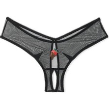Very Sexy Arkası Tül Derin Bacak Kesim Külot - (Tek Renk)