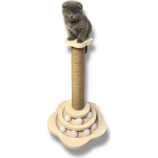 Kedi Oyun & Tırmalama Tahtası