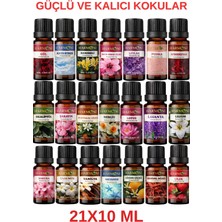 Harmoni Eko Set Esansiyel Uçucu Yağ Buhurdanlık Yağı Difüzör Esansı Aromaterapi  Koku Yağı 21x10 ml