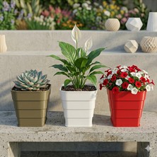 Plastobe Tricolore Saksı Seti 3'lü 12CM (Yeşil-Beyaz-Kırmızı)