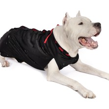 Petsuit Köpek Yara Koruyucu Korse, Ameliyat Sonrası Koruyucu Korse, Veteriner Hekim Tavsiyesi