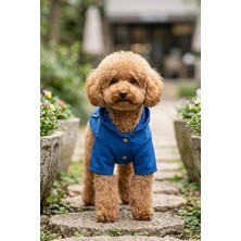 Kokoro Mother & Baby Zendog Saks Mavisi Kapüşonlu Köpek Sweatshirt - Çıtçıtlı Pamuklu Mevsimlik Köpek Ceketi