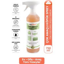Noxclean Çok Amaçlı Temizleyici Sprey 750 ml | Tüm Yüzeyler Için Etkili Temizlik
