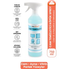 Noxclean Cam Temizleyici Sprey 750 ml | Iz Bırakmayan Parlak Temizlik