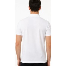 Lacoste  Polo  Yaka  Beyaz Metal Logo  Regular Fit