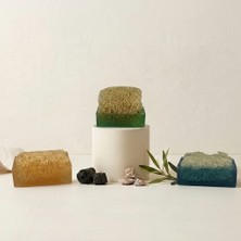 Argentum Natural 4'lü Saç Dökülmesi ve Kepek Karşıtı Çözüm Seti 520 G - Bıttım ve Isırgan Özlü Hızlı Saç Uzatma Etkili Paket