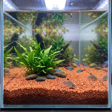Kanki Pet Kırmızı Kuvars Akvaryum Kumu 2-3 mm 10 kg - Doğal ve Estetik Taban Malzemesi