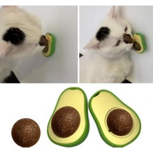 EkoAlışverişDünyam Avokado Dönen Kedi Nanesi Cat Oyun Topu Doğal Kedi Oyuncağı