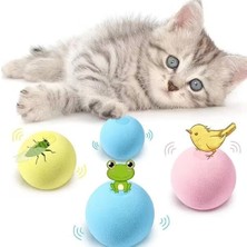 EkoAlışverişDünyam Kedi Otlu 3 Sesli Interaktif Top Kedi Oyuncağı