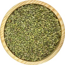 Renas Store Arslanlar Baharat Bilya Kekik 1kg