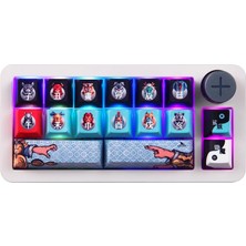 Oyuncu Baykuş Darmoshark SK16 Beyaz Mekanik Oyun Klavyesi Kablosuz Bağlantı ve RGB Aydınlatma Özellikli