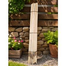 Tamamen El Işçiliği (Çeç Fındık) Fırça Sapı 155 cm 5'li Paket