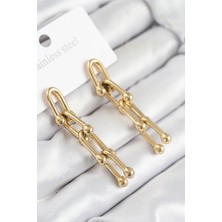 Renas Store 316L Çelik Sallantılı Tifany Model Gold Renk Kadın Küpe
