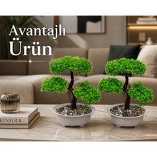B&Nine 2'li Dekoratif Bonsai Yapay Ağaç Seti – Ev & Ofis Masa & Raf Dekoru