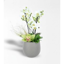 Çiçeek Beyaz Bougetto Orkide ve Cymbidium Aranjmanı