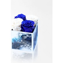Çiçeek Sea Blue 4 Mavi Beyaz Solmayan Gül