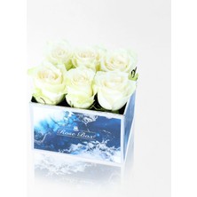 Çiçeek Sea Blue Midi Kutuda 6 Beyaz Gül