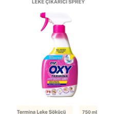 Mr.oxy Mr. Oxy Termina Leke Çıkarıcı Sprey 750 ml