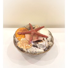 Antioch Art and Design Dekoratif Deniz Yıldızlı Deniz Kabuklu Sepet Masa Üstü Dekoratif Süs Sepet Hediyelik Eşya